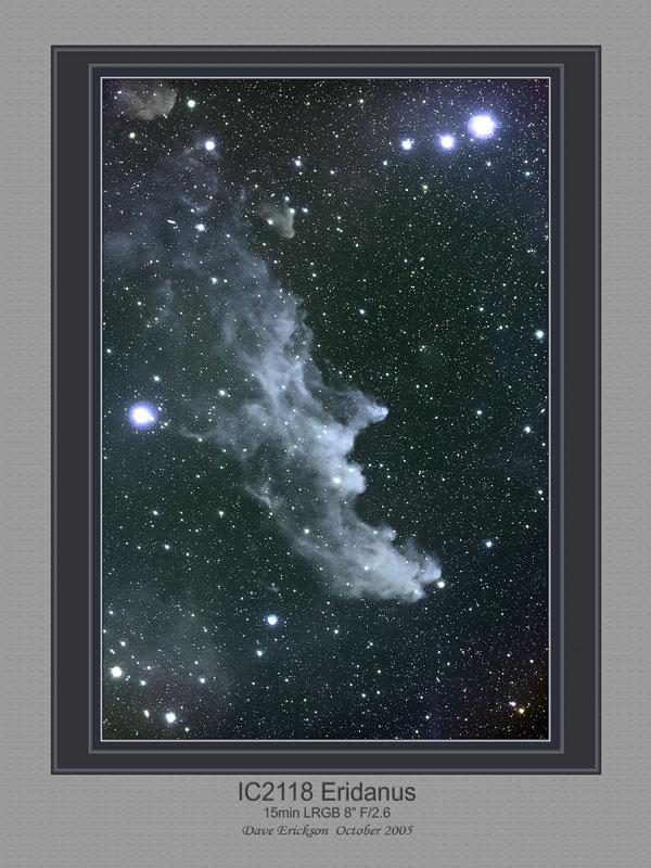 IC2118 Witch Head